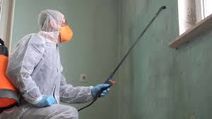 Mold Remediation for Rental Properties in Bellwood, IL